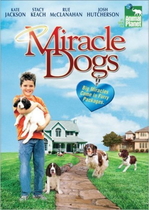 miracledog-poster001.jpg miracledog-poster001.jpg