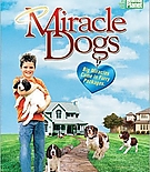 miracledog-poster001.jpg