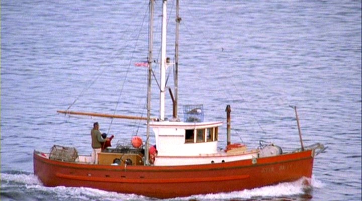 603.jpg