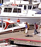 594.jpg