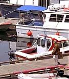 595.jpg