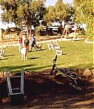 097.jpg