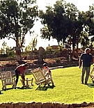 119.jpg