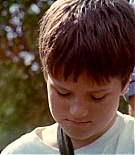 377.jpg