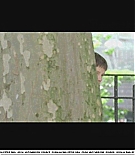 littlemanhattan-deleted010.JPG