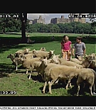 littlemanhattan-deleted094.JPG