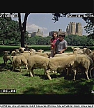 littlemanhattan-deleted097.JPG