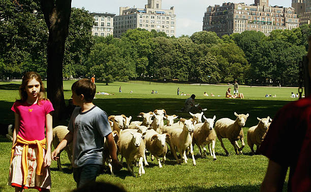littlemanhattan-promos048.jpg littlemanhattan-promos048.jpg