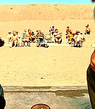 176.jpg