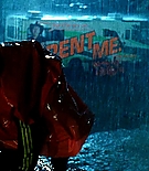 343.jpg