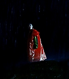347.jpg