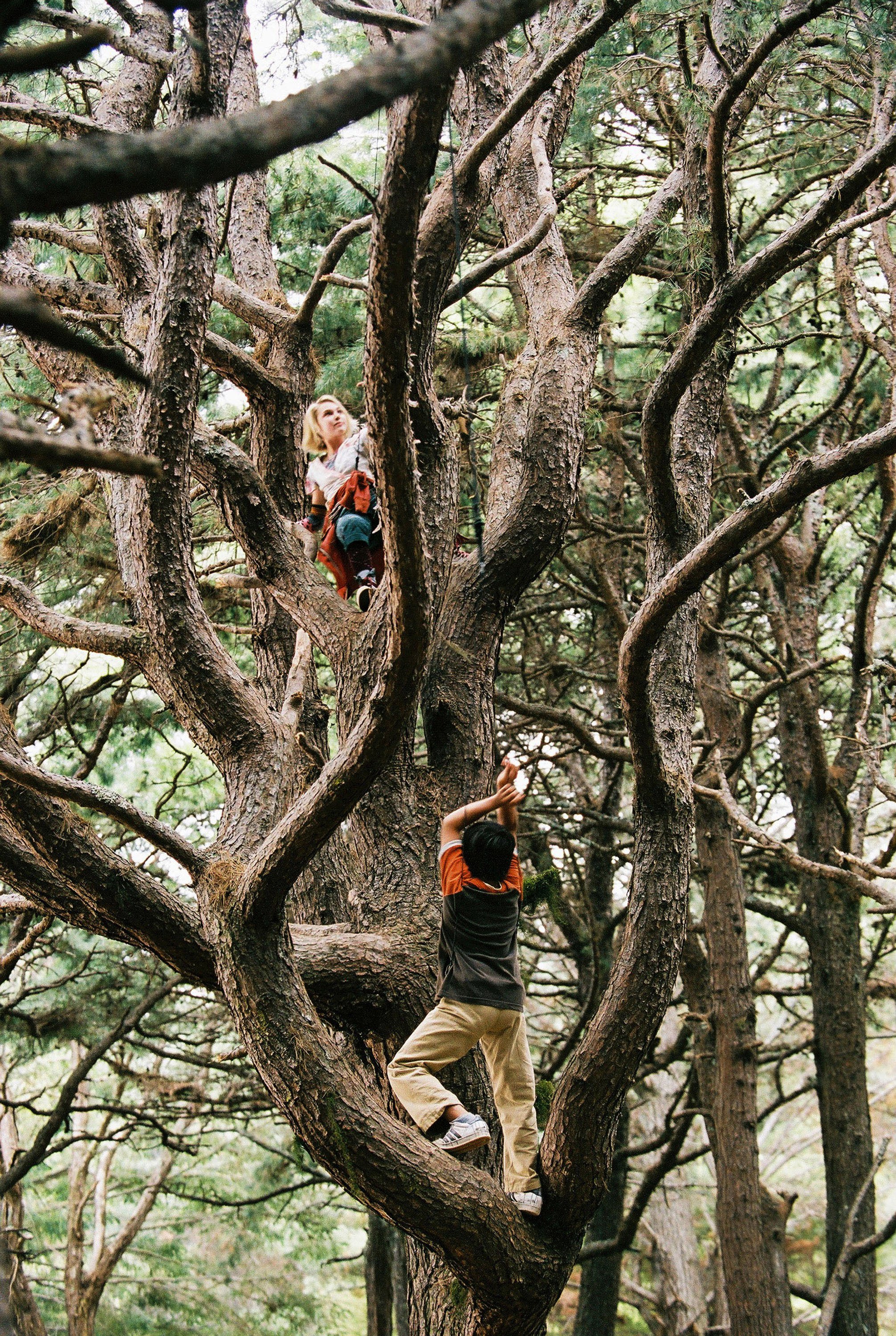 terabithia-promos034.jpg