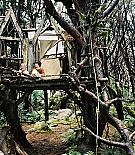 terabithia-promos032.jpg