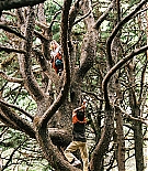 terabithia-promos034.jpg