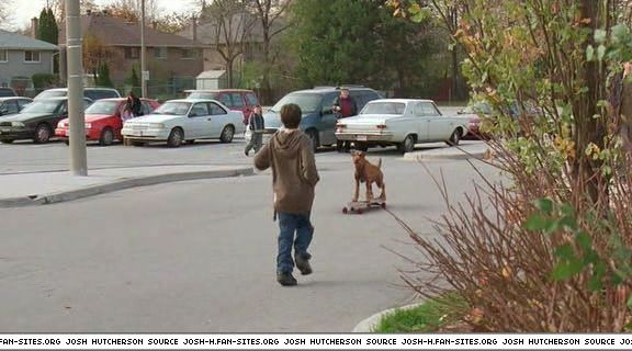 firehousedog-captures129.jpg firehousedog-captures129.jpg