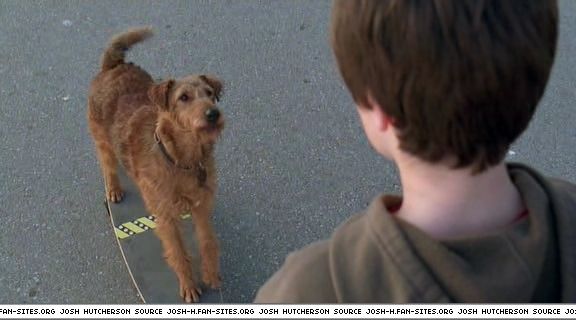 firehousedog-captures131.jpg firehousedog-captures131.jpg