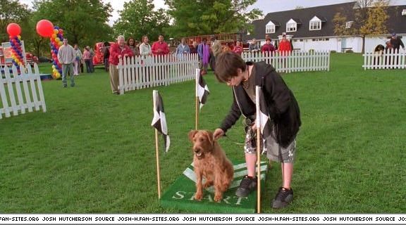 firehousedog-captures135.jpg firehousedog-captures135.jpg
