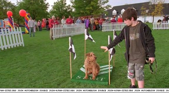 firehousedog-captures136.jpg firehousedog-captures136.jpg