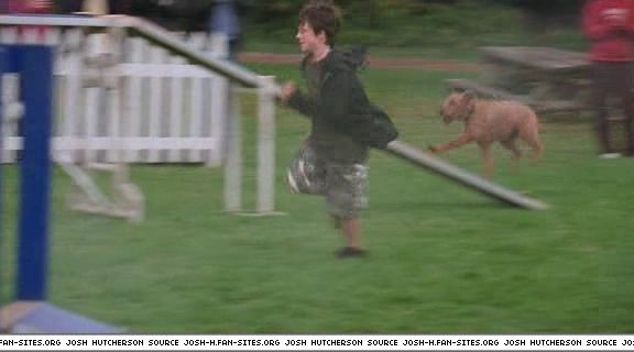 firehousedog-captures138.jpg firehousedog-captures138.jpg