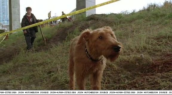 firehousedog-captures202.jpg firehousedog-captures202.jpg