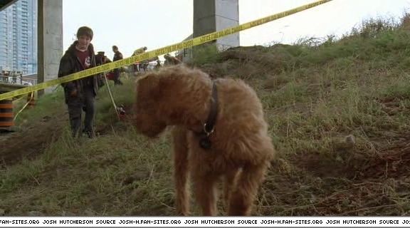 firehousedog-captures203.jpg firehousedog-captures203.jpg