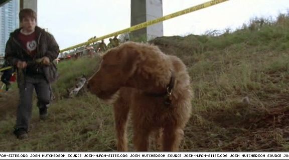 firehousedog-captures205.jpg firehousedog-captures205.jpg