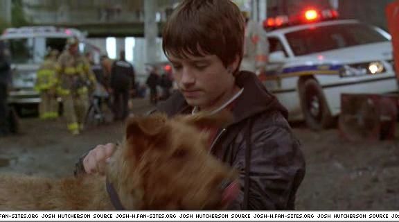 firehousedog-captures217.jpg firehousedog-captures217.jpg
