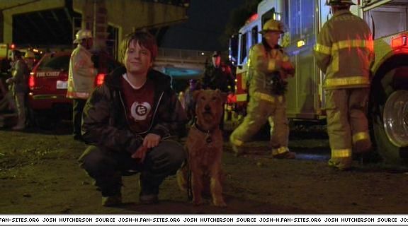 firehousedog-captures228.jpg firehousedog-captures228.jpg