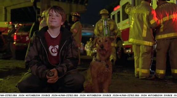 firehousedog-captures230.jpg firehousedog-captures230.jpg