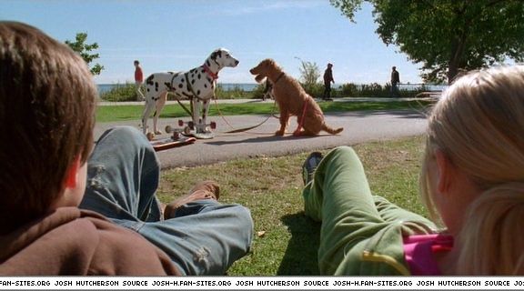 firehousedog-captures245.jpg