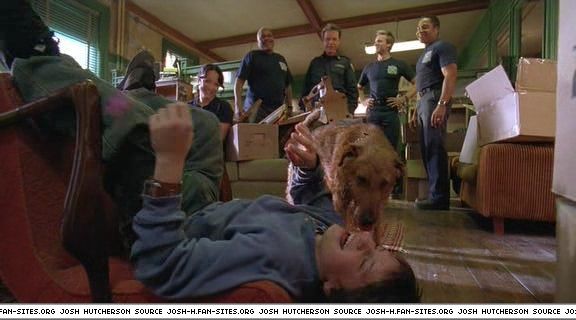firehousedog-captures262.jpg firehousedog-captures262.jpg