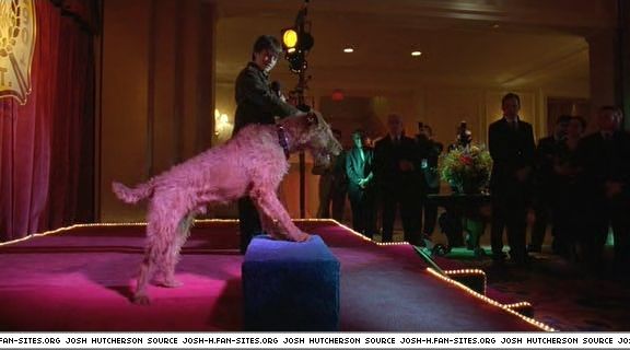 firehousedog-captures362.jpg
