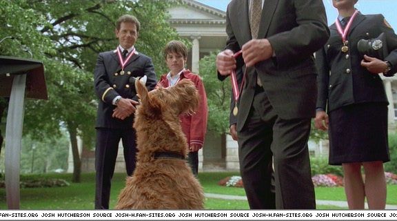 firehousedog-captures522.jpg firehousedog-captures522.jpg