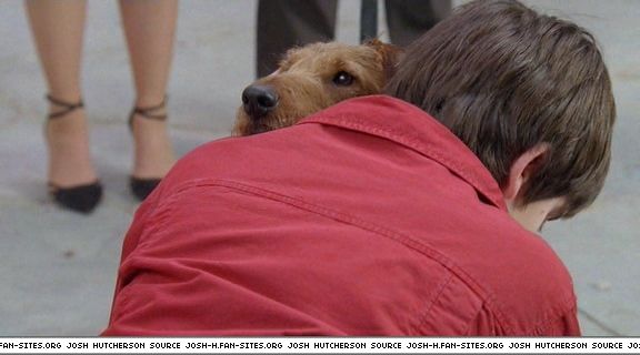 firehousedog-captures546.jpg