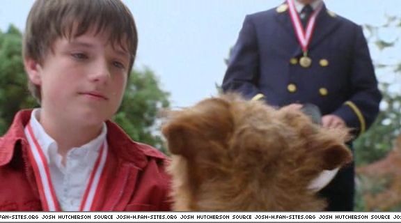 firehousedog-captures547.jpg firehousedog-captures547.jpg