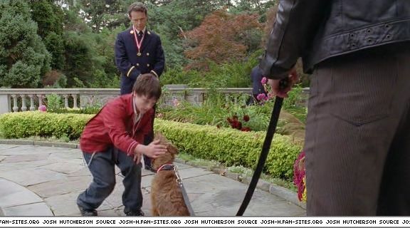 firehousedog-captures548.jpg firehousedog-captures548.jpg