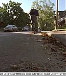 firehousedog-captures011.jpg