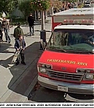 firehousedog-captures015.jpg