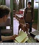 firehousedog-captures104.jpg