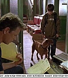firehousedog-captures105.jpg