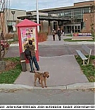 firehousedog-captures119.jpg