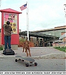 firehousedog-captures125.jpg