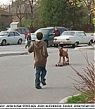 firehousedog-captures129.jpg