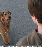 firehousedog-captures131.jpg