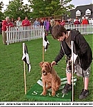 firehousedog-captures135.jpg