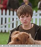 firehousedog-captures140.jpg