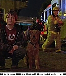 firehousedog-captures228.jpg