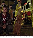 firehousedog-captures229.jpg