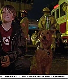 firehousedog-captures230.jpg