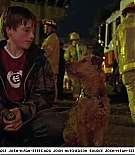 firehousedog-captures231.jpg